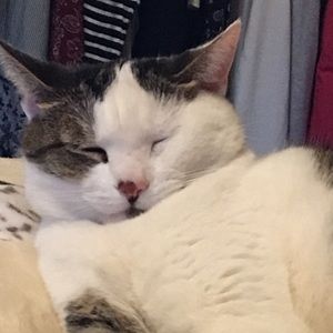 Meet your Posher, Julie